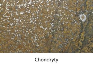 Galeria chondryty