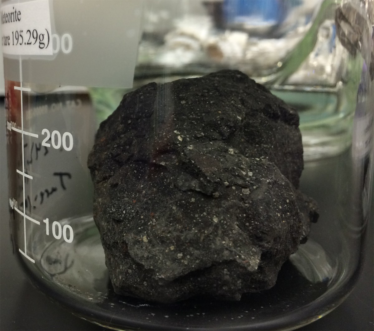 Fragment meteorytu Murchison