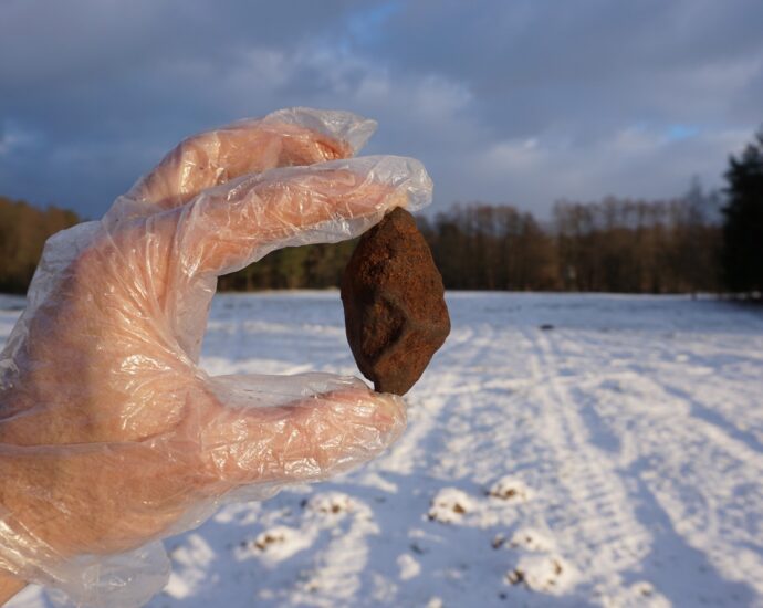Pierwszy (oficjalny) okaz meteorytu, znaleziony w Polsce w 2023r.