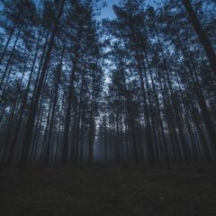 Coś walnęło, coś huknęło i co dalej? Co wydarzyło się koło Nidzicy? (2023.05.20)