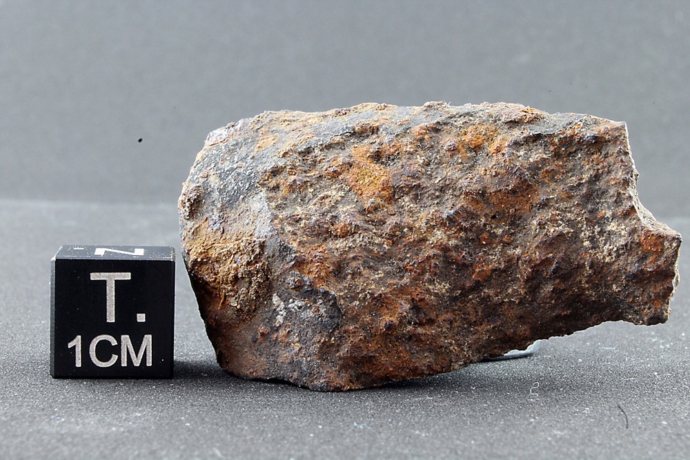 Meteoryt Pułtusk 24,98 g. Okaz znaleziony 8 lipca 2023r. przez Jarosłąwa Morysa.