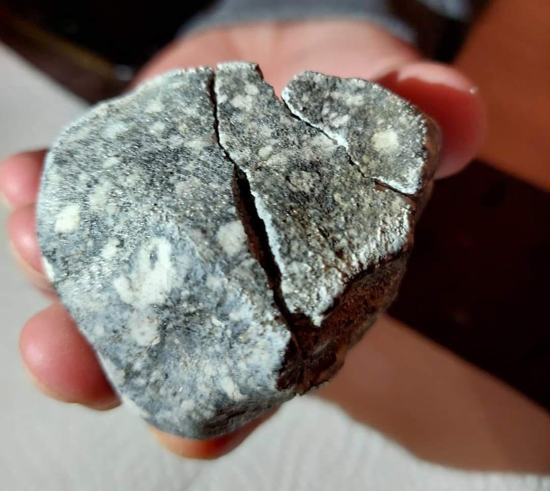 Pierwszy odnaleziony okaz meteorytu Ribbeck