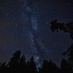 Noc Perseidów