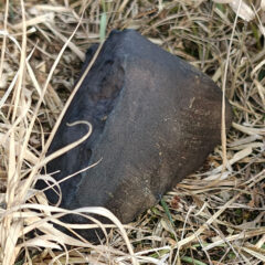 Meteoryt Drelów 517 g.