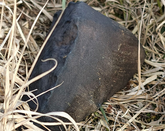 Meteoryt Drelów 517 g.