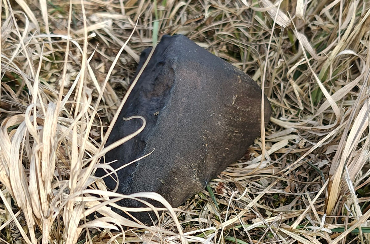 Wystawa „Meteoryt Drelów – najbardziej polska skała z kosmosu”