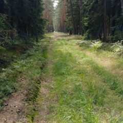 Dzień 2