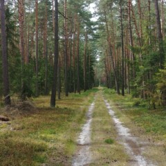 Dzień 2