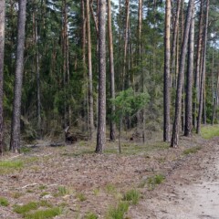 Dzień 2