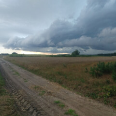 Dzień 2