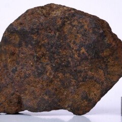 Meteoryt Pułtusk 264 g.