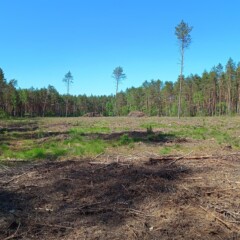 Zaręby Kościelne 2023.05.21