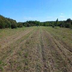 Zaręby Kościelne 2023.05.21