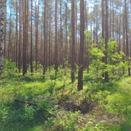 Zaręby Kościelne 08/06/2023