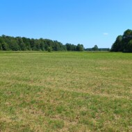 Zaręby Kościelne 08/06/2023