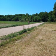 Zaręby Kościelne 08/06/2023