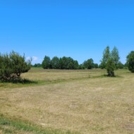 Zaręby Kościelne 08/06/2023