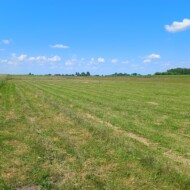 Zaręby Kościelne 08/06/2023