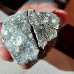 Pierwszy odnaleziony okaz meteorytu Ribbeck